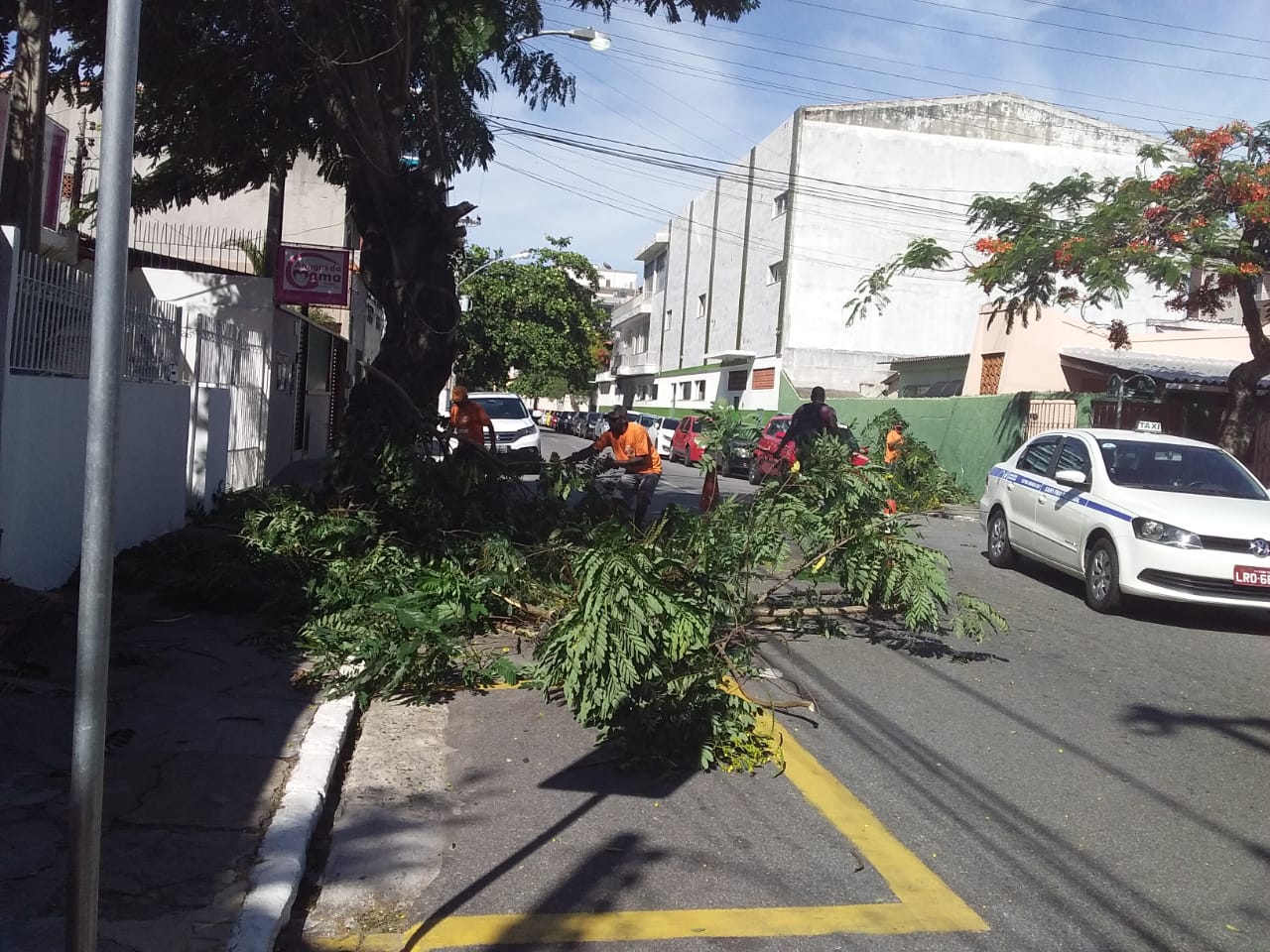 Prefeitura realiza poda de árvores em ruas de Cabo Frio