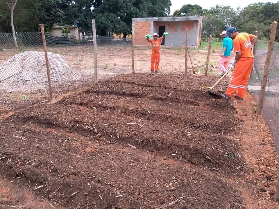 Comsercaf inova e implanta Horta Comunitária em Botafogo, em parceria com a Secretaria Municipal de Agricultura